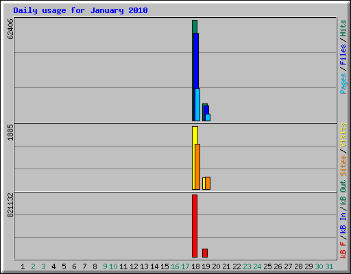 Daily usage for January 2010