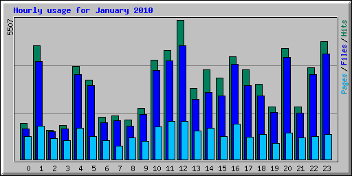Hourly usage for January 2010