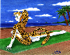 9805 - Cheetah showin` off by Jason Meador.